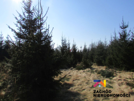 Na SprzedaŻ DziaŁka W Cigacicach 900 M2